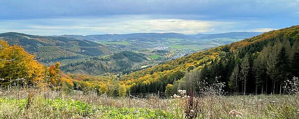 Im Sauerland blicken Urlauber über weite Täler und die bergige Landschaft des Mittelgebirges.