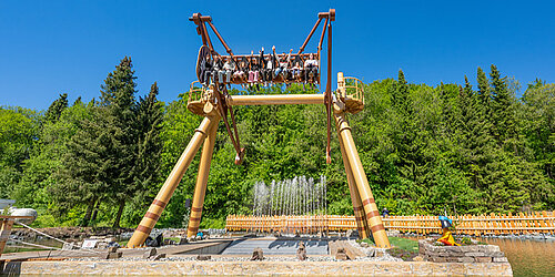 Großer Adlers freier Flug