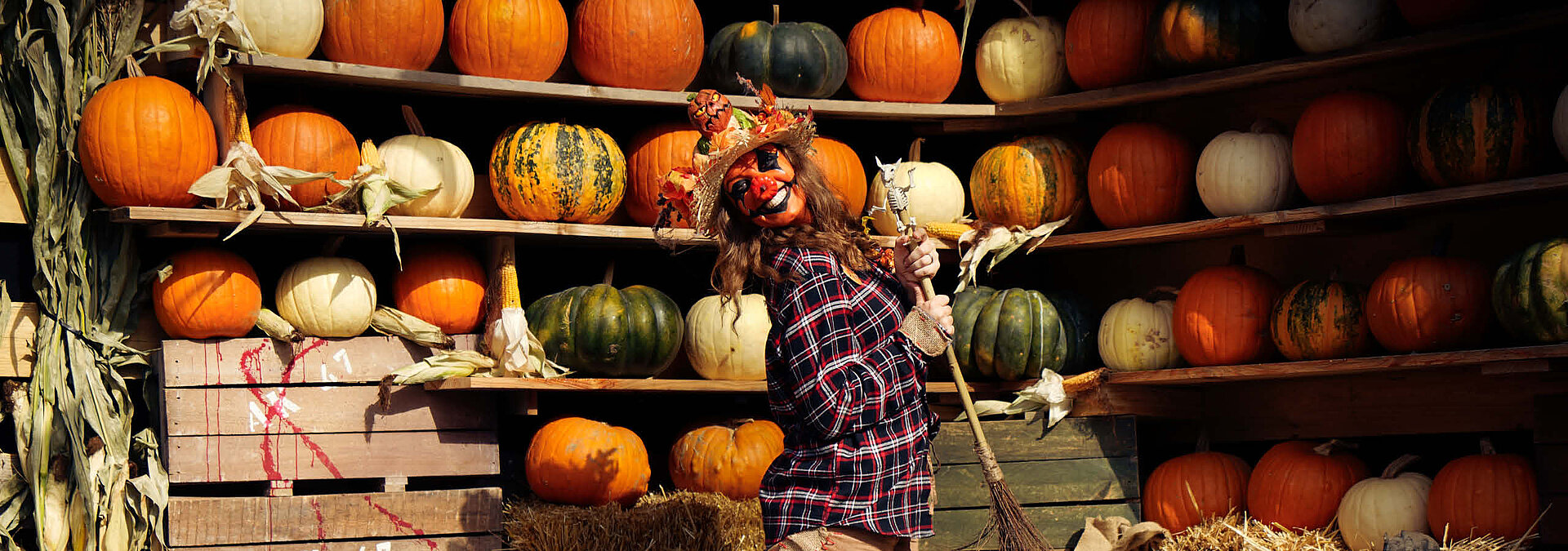 Peppy Pumpkin freut sich auf ihre Besucher beim KidsOween. Sie steht vor einer bunten schönen Kürbiswand.