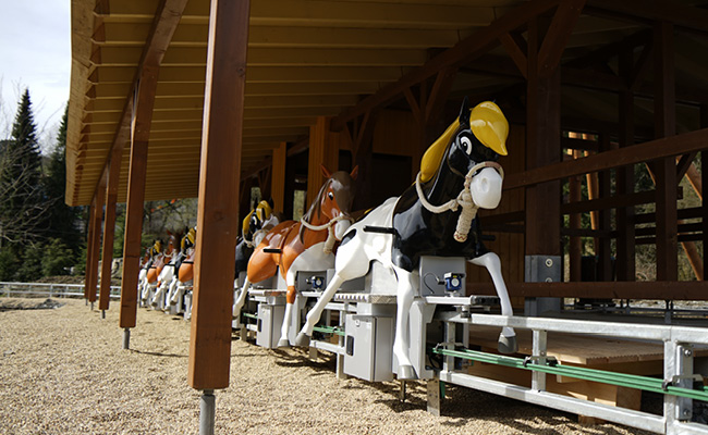 Die Pferde Kleiner Donner und Wilder Wind warten auf ihre Reiter.