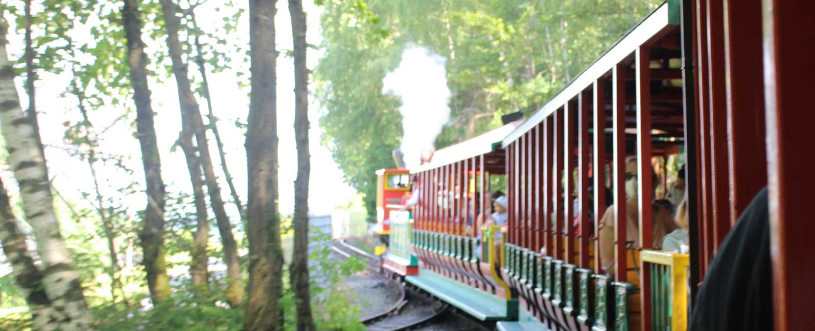 Durch die Sauerländer Wälder fährt der Westernzug Santa Fé Express.